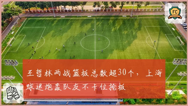 王哲林两战篮板总数超30个，上海球迷炮轰队友不卡位抢板