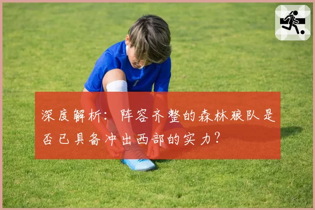 深度解析：阵容齐整的森林狼队是否已具备冲出西部的实力？
